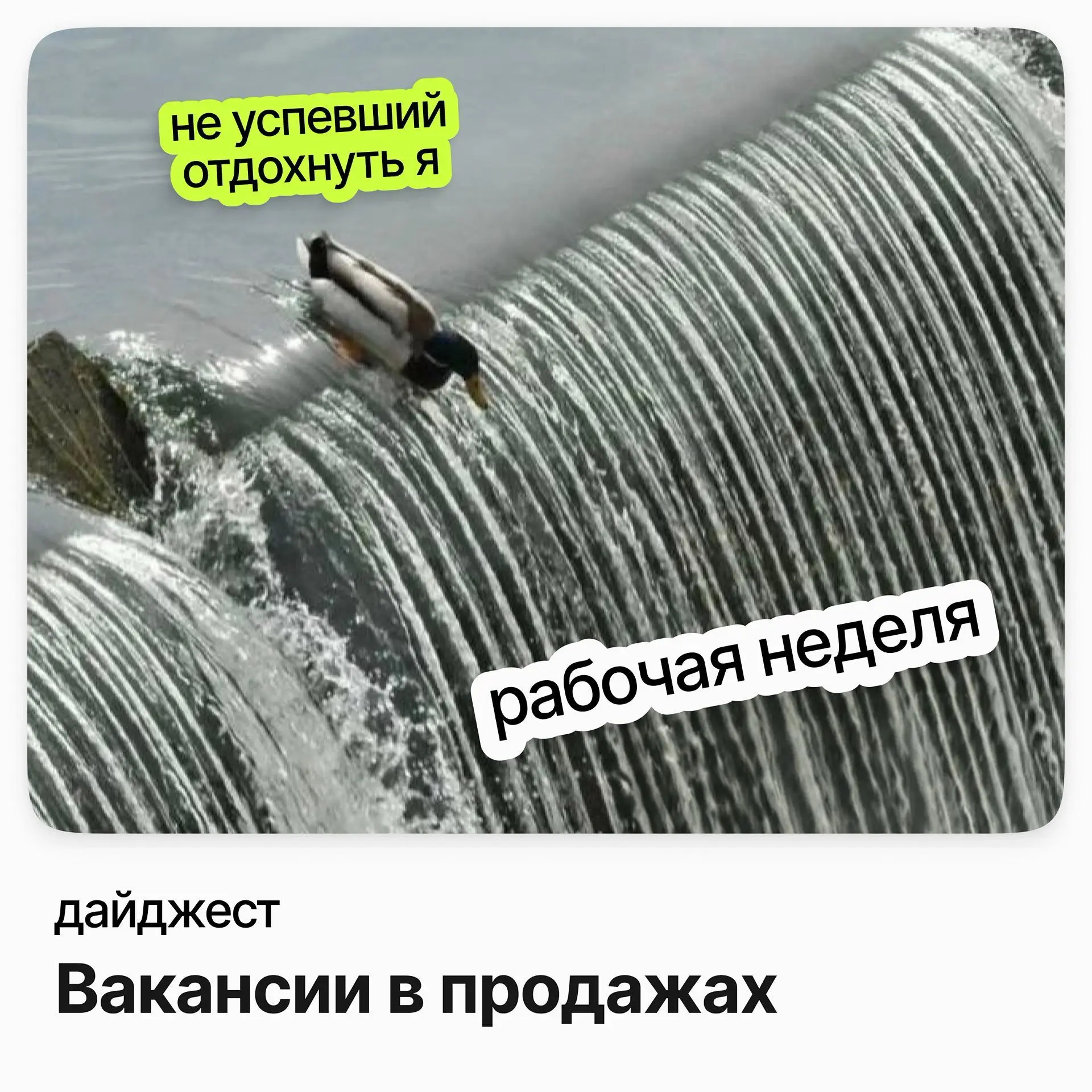 Вакансии в продажах | Сетка — социальная сеть от hh.ru