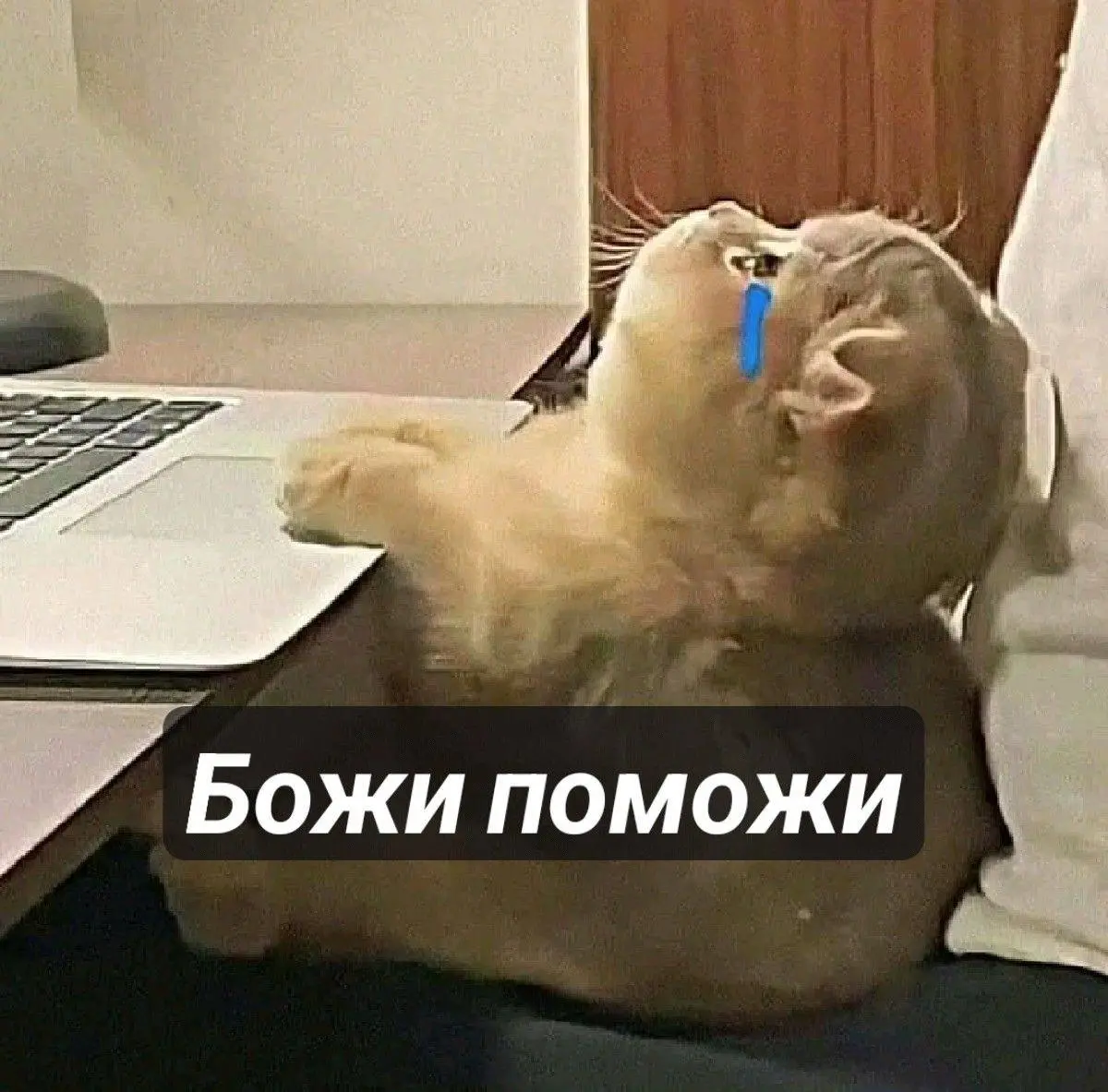 «Не моя работа» - последнее, что вы как руководитель услышите перед заявлением об уходе сотрудника (и это не шутка, ну почти)
«Ок... Понятно.. | Сетка — социальная сеть от hh.ru