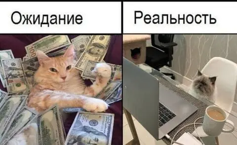 📈 Как выглядит рост заявок в реальности (без сказок)
Есть ожидание:
запустили рекламу - пошли заявки - бизнес вырос.
На практике всё выглядит иначе.
Рост заявок - это не кнопка. Это процесс | Сетка — социальная сеть от hh.ru