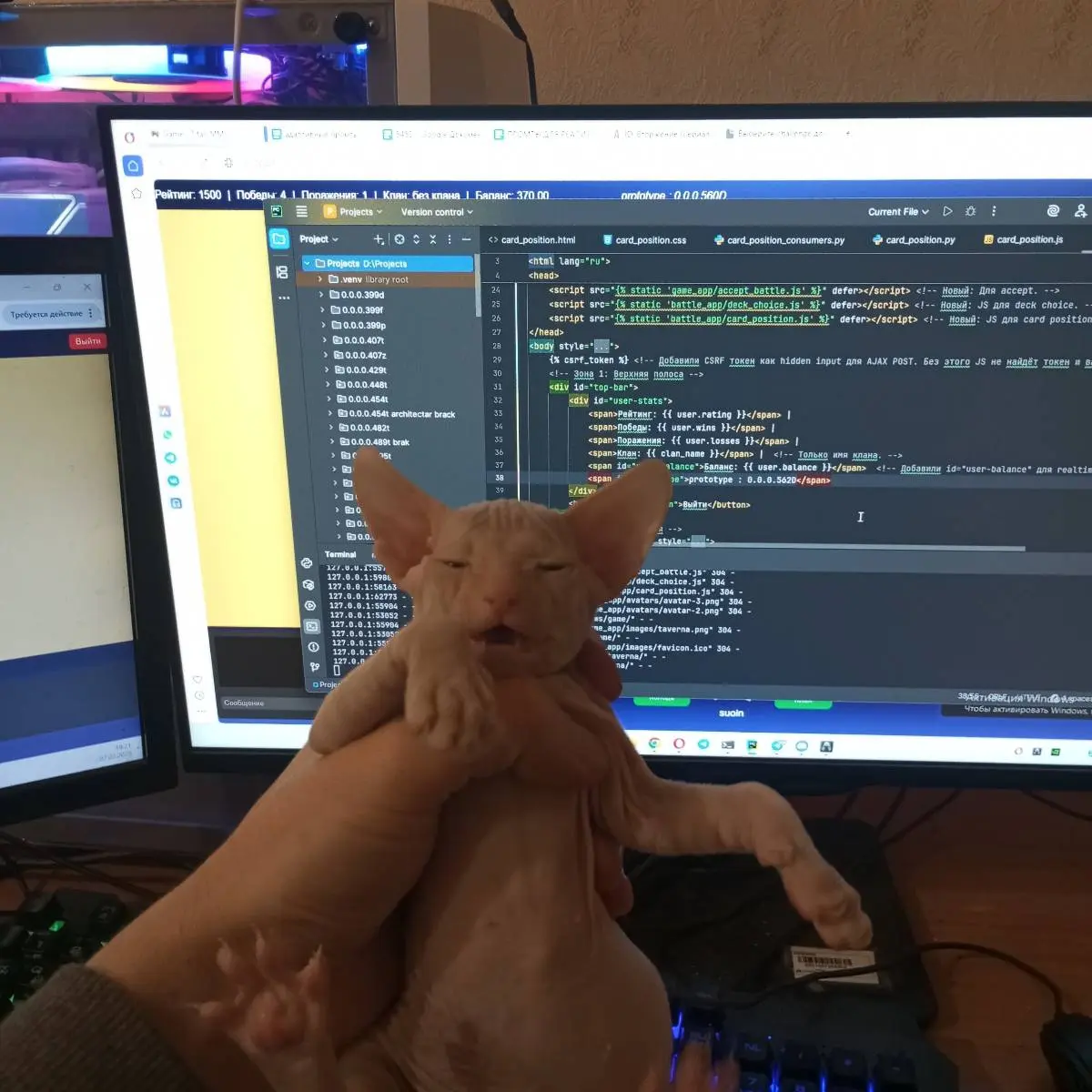 Network member avatar