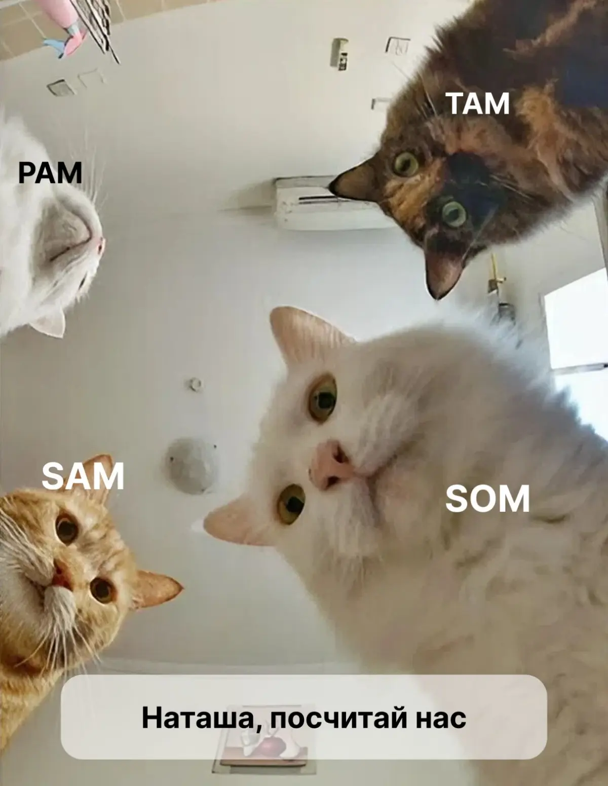 Объем рынка: PAM, TAM, SAM, SOM | Сетка — социальная сеть от hh.ru