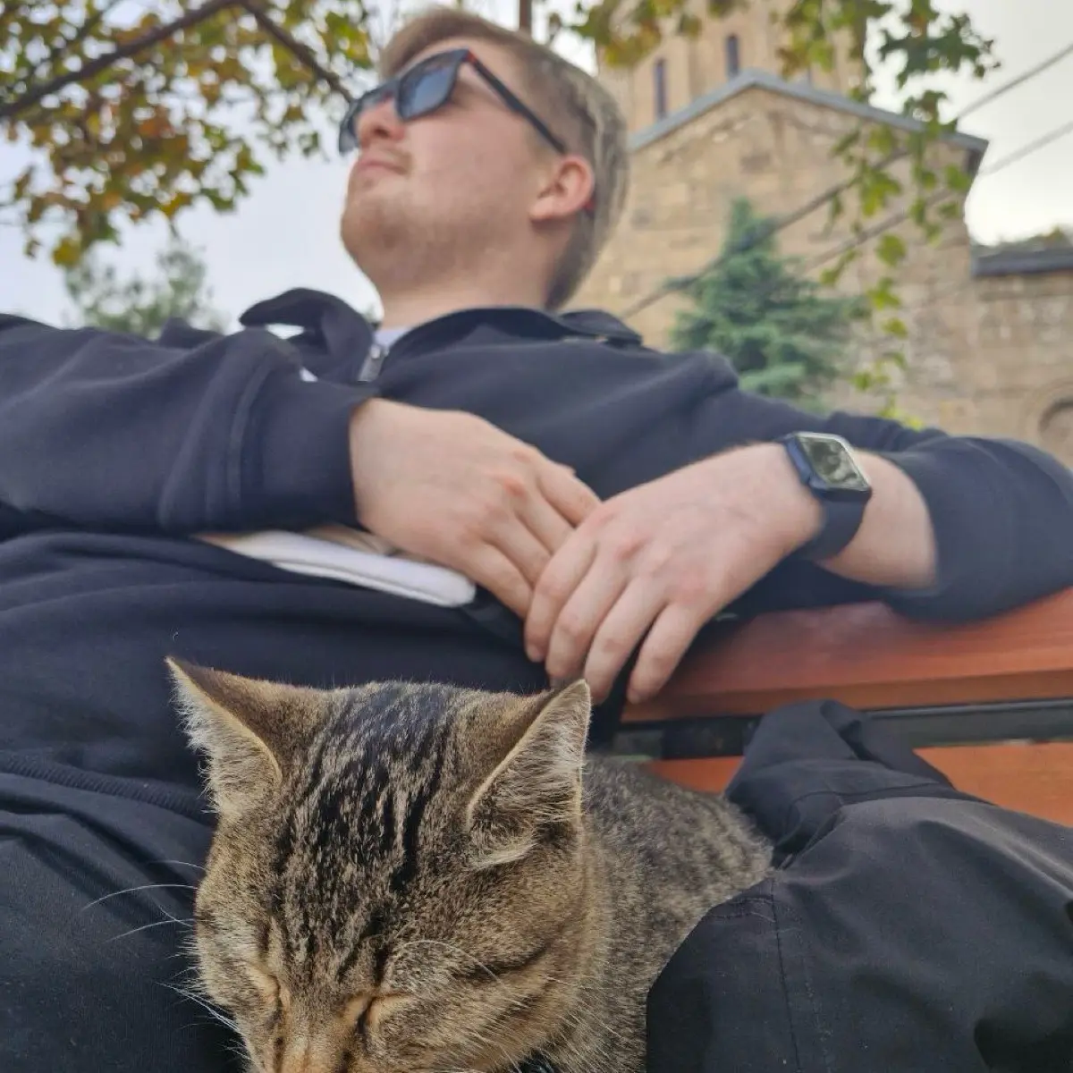 Network member avatar