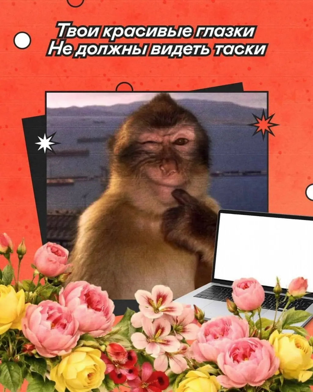 Подпишись, если тоже ненавидишь голосовые 💊 | Сетка — социальная сеть от hh.ru