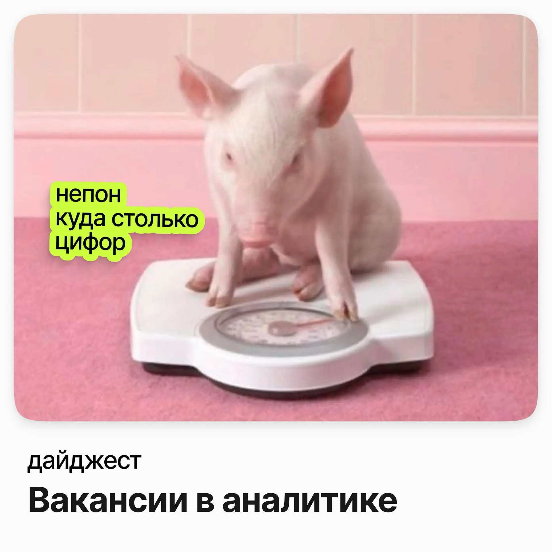 Вакансии в аналитике | Сетка — социальная сеть от hh.ru