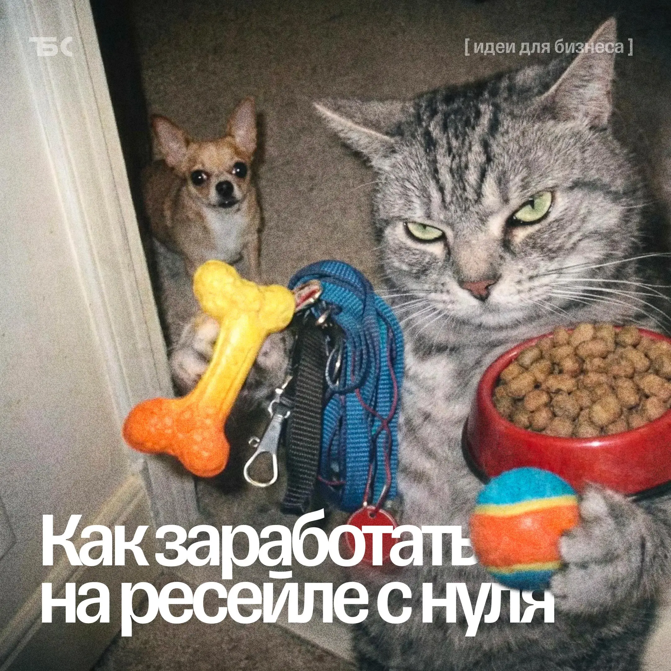 Можно ли заработать на перепродаже б/у вещей?
📌Ресейл — это перепродажа товаров, бывших в употреблении, но в хорошем состоянии | Сетка — социальная сеть от hh.ru