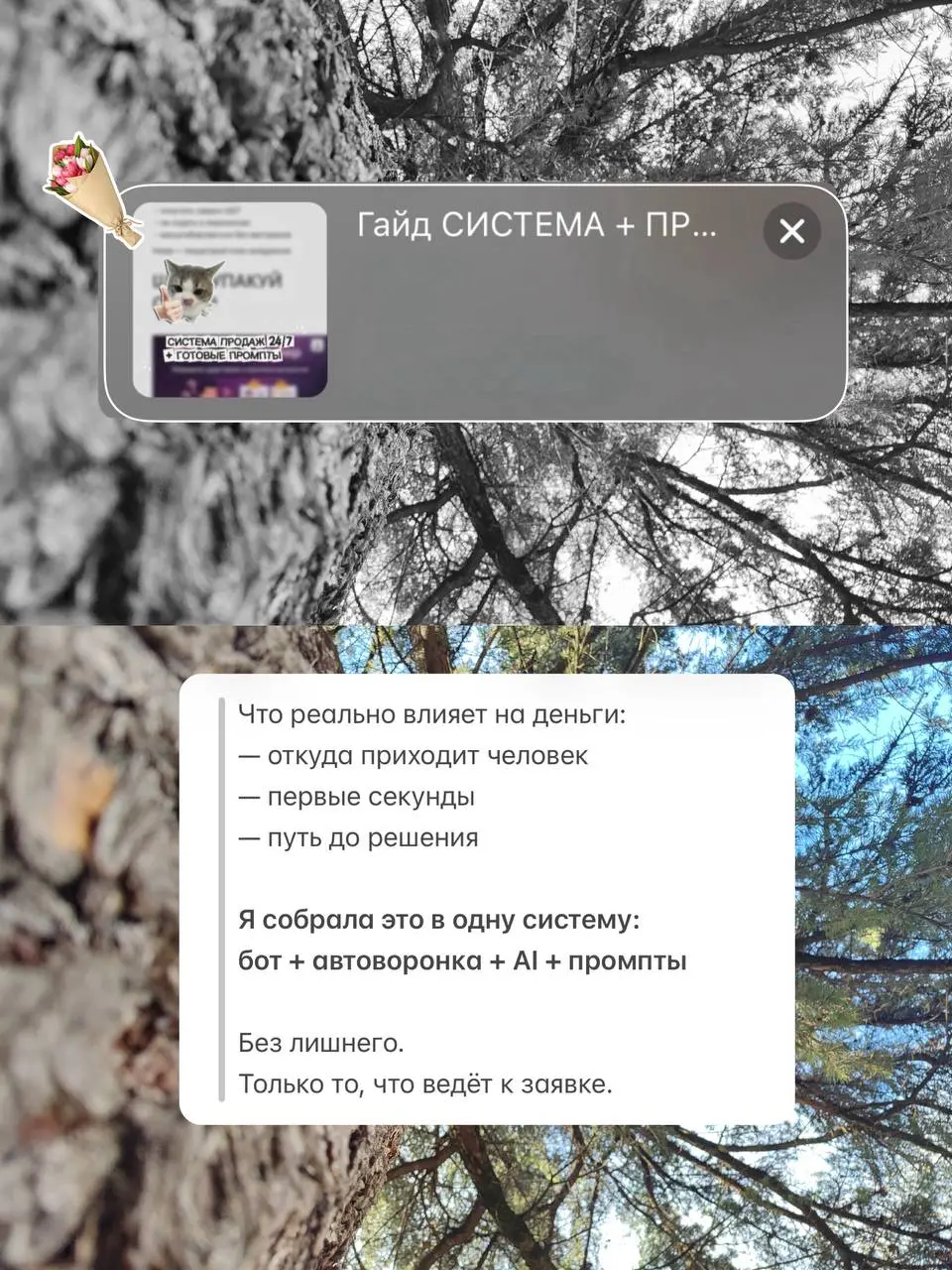 До сих пор продаёшь вручную? 😉
Пишешь в директ. Повторяешь одно и то же. Сливаешь время.
Проблема не в том, что у тебя нет бота. Проблема — нет системы.
Бот сам по себе не зарабатывает | Сетка — социальная сеть от hh.ru