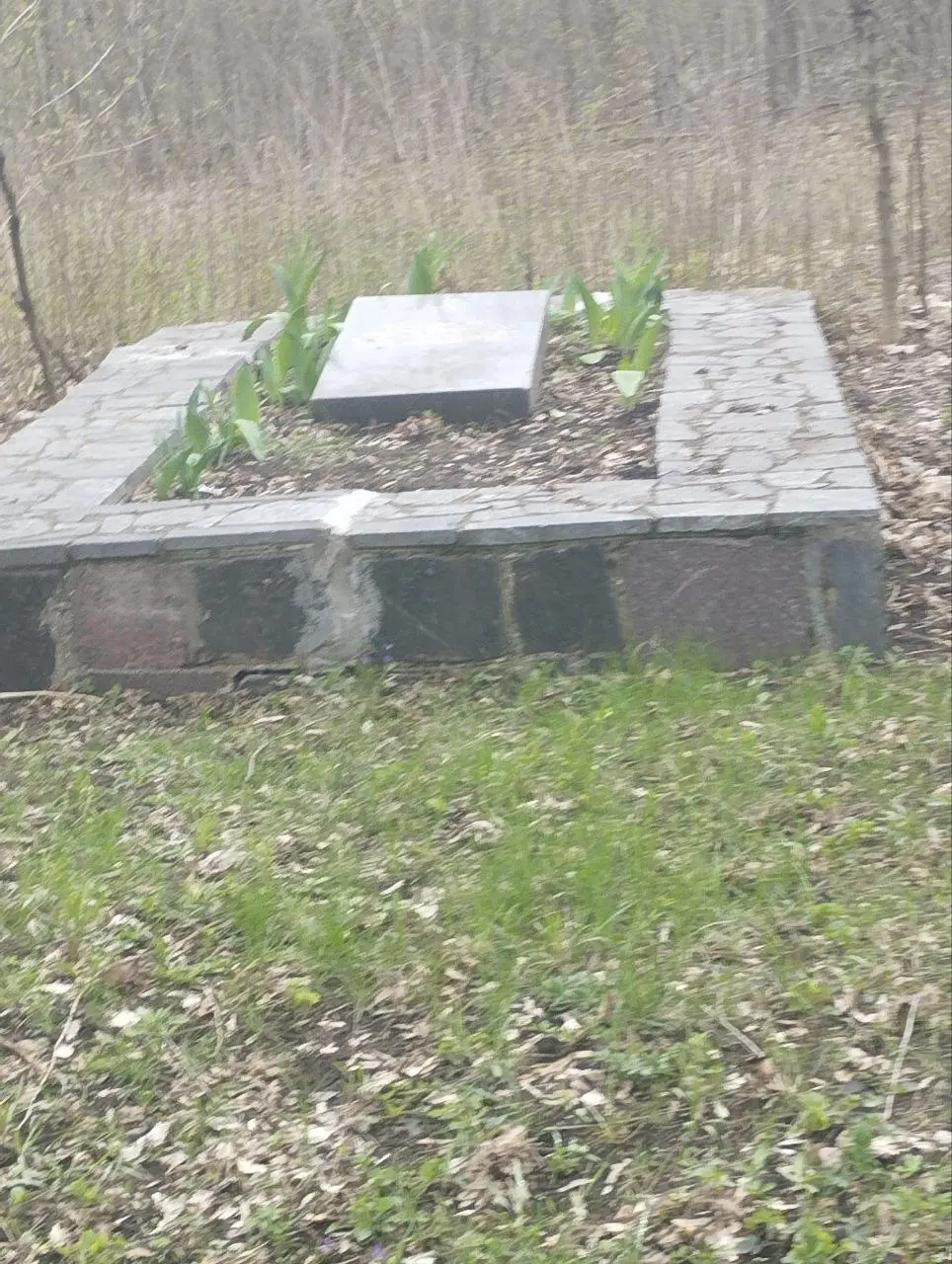 Состояние парка ДКХЗ в Кировском районе Донецка | Сетка — социальная сеть от hh.ru
