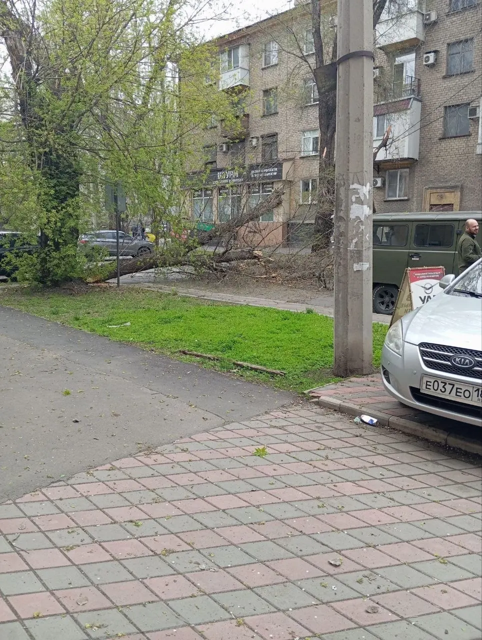 упало дерево на Щорса, проехать нельзя | Сетка — социальная сеть от hh.ru