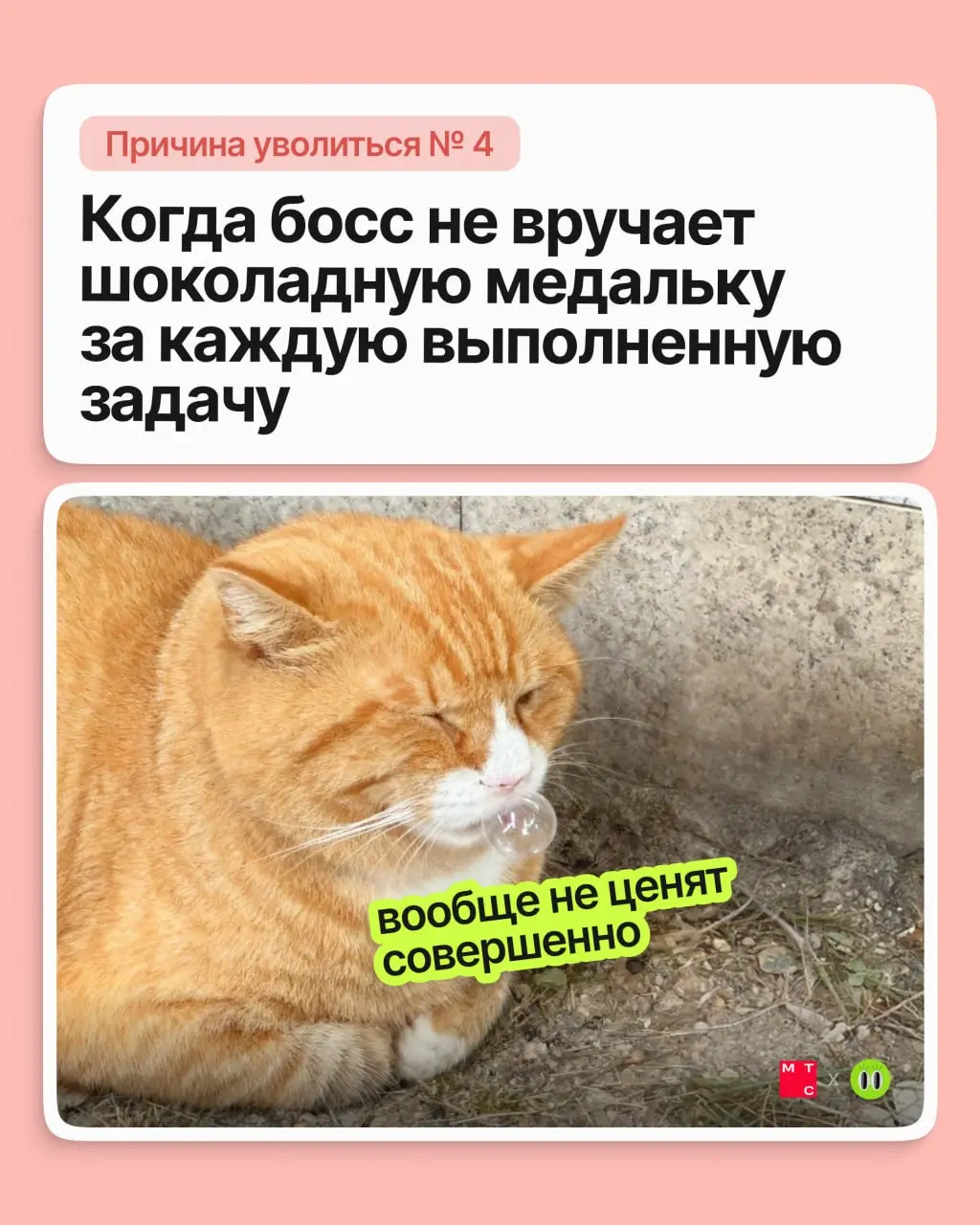 Друзья, сегодня обсуждаем по-настоящему веские причины подыскать новую работу 💅🏻
Неважно, почему вы решили сменить работу. Важно, что новая будет лучше — в МТС это знают наверняка | Сетка — социальная сеть от hh.ru
