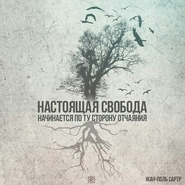НАСТОЯЩАЯ СВОБОДА: практические кейсы | Сетка — социальная сеть от hh.ru