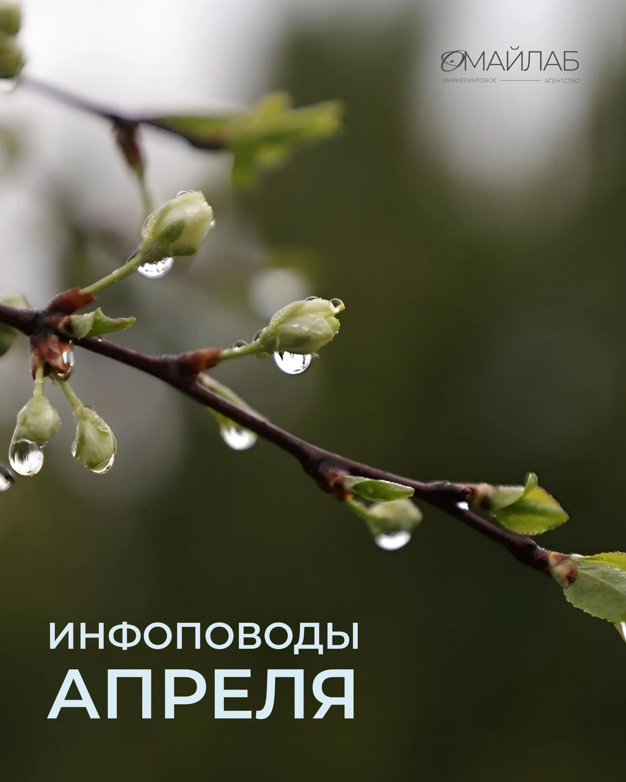 Апрель — это не просто даты в календаре. Скорее про смыслы, которые мы в них вкладываем.
Культура — в том, как мы живём и общаемся.
Баланс — в том, как справляемся с задачами | Сетка — социальная сеть от hh.ru