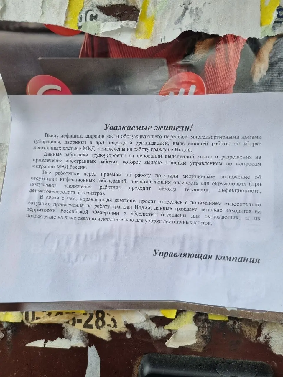 г.Иваново, Ивановская область, одна из управляющих компаний развесила на подъездах вот такие объявления)
«В виду дефицита кадров обслуживающего персонала, многоквартирными домами (уборщицы, дворники... | Сетка — социальная сеть от hh.ru