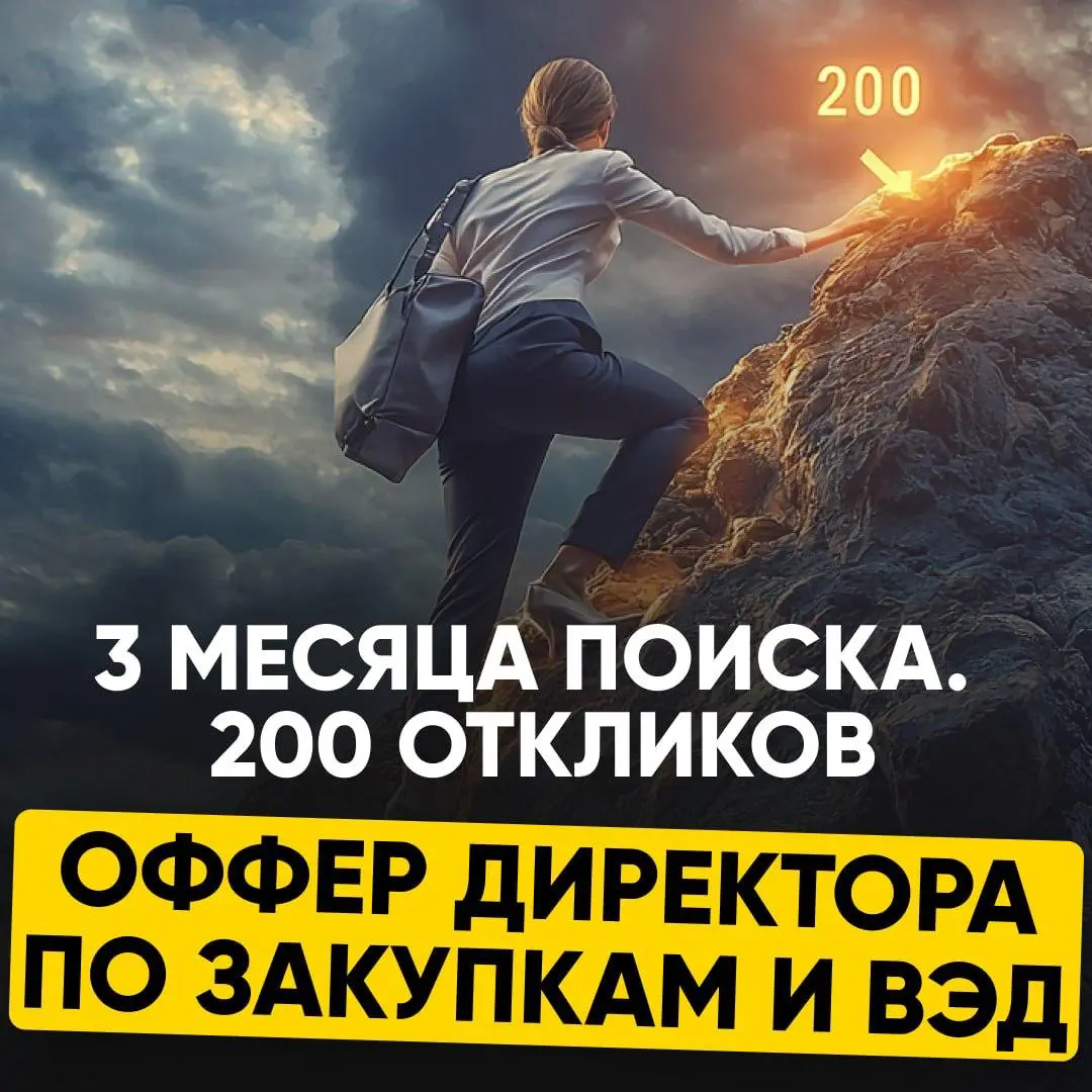 ✔️ 3 МЕСЯЦА ПОИСКА. 200 ОТКЛИКОВ. | Сетка — социальная сеть от hh.ru