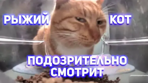 Почему идеальный employer brand больше не конвертит | Сетка — социальная сеть от hh.ru