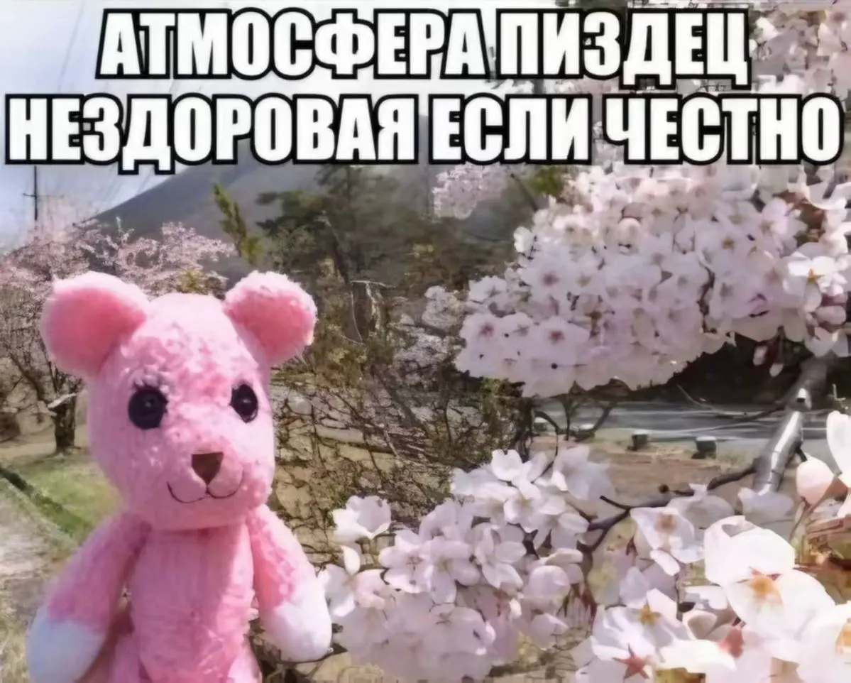 Допустим | Сетка — социальная сеть от hh.ru