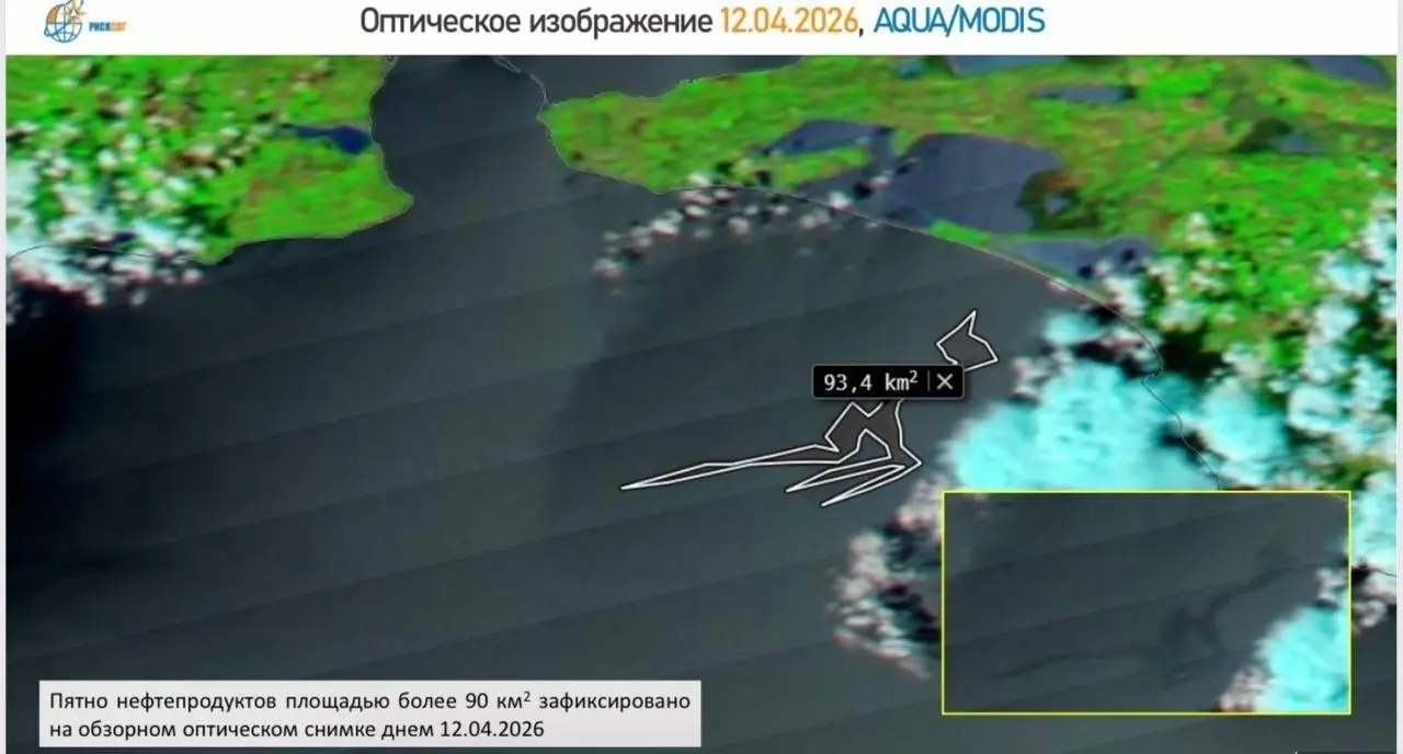 Экологи фиксируют крупные нефтяные пятна в море площадью до 100 км², они продолжают дрейфовать к побережью | Сетка — социальная сеть от hh.ru