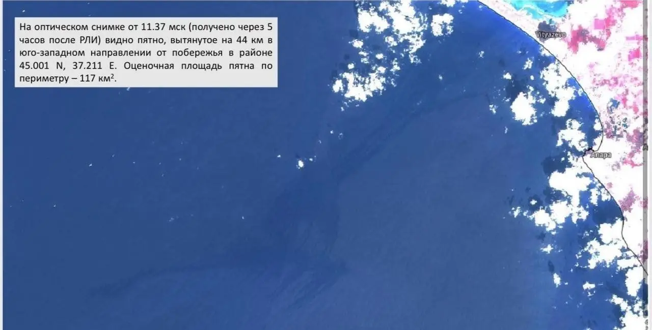 Экологи фиксируют крупные нефтяные пятна в море площадью до 100 км², они продолжают дрейфовать к побережью | Сетка — социальная сеть от hh.ru