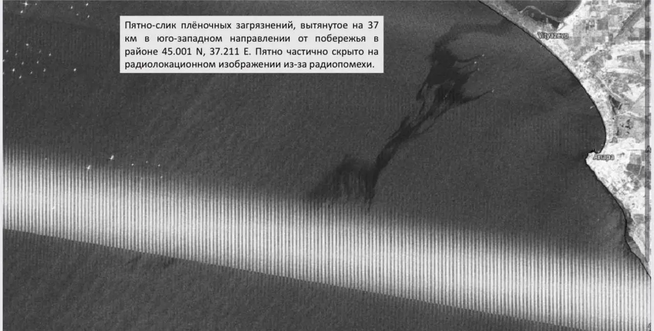 Экологи фиксируют крупные нефтяные пятна в море площадью до 100 км², они продолжают дрейфовать к побережью | Сетка — социальная сеть от hh.ru
