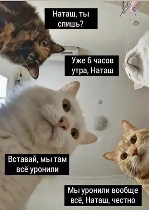 Наташ, вставай, мы всё уронили или (анти-)кризисная коммуникация
4 утра, темно, за окном метель, время самого сладкого и глубокого сна. Звонок. Сбивчивая речь старшего дежурного смены | Сетка — социальная сеть от hh.ru