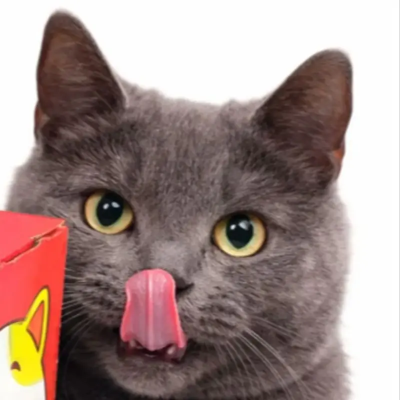 Максим Котов