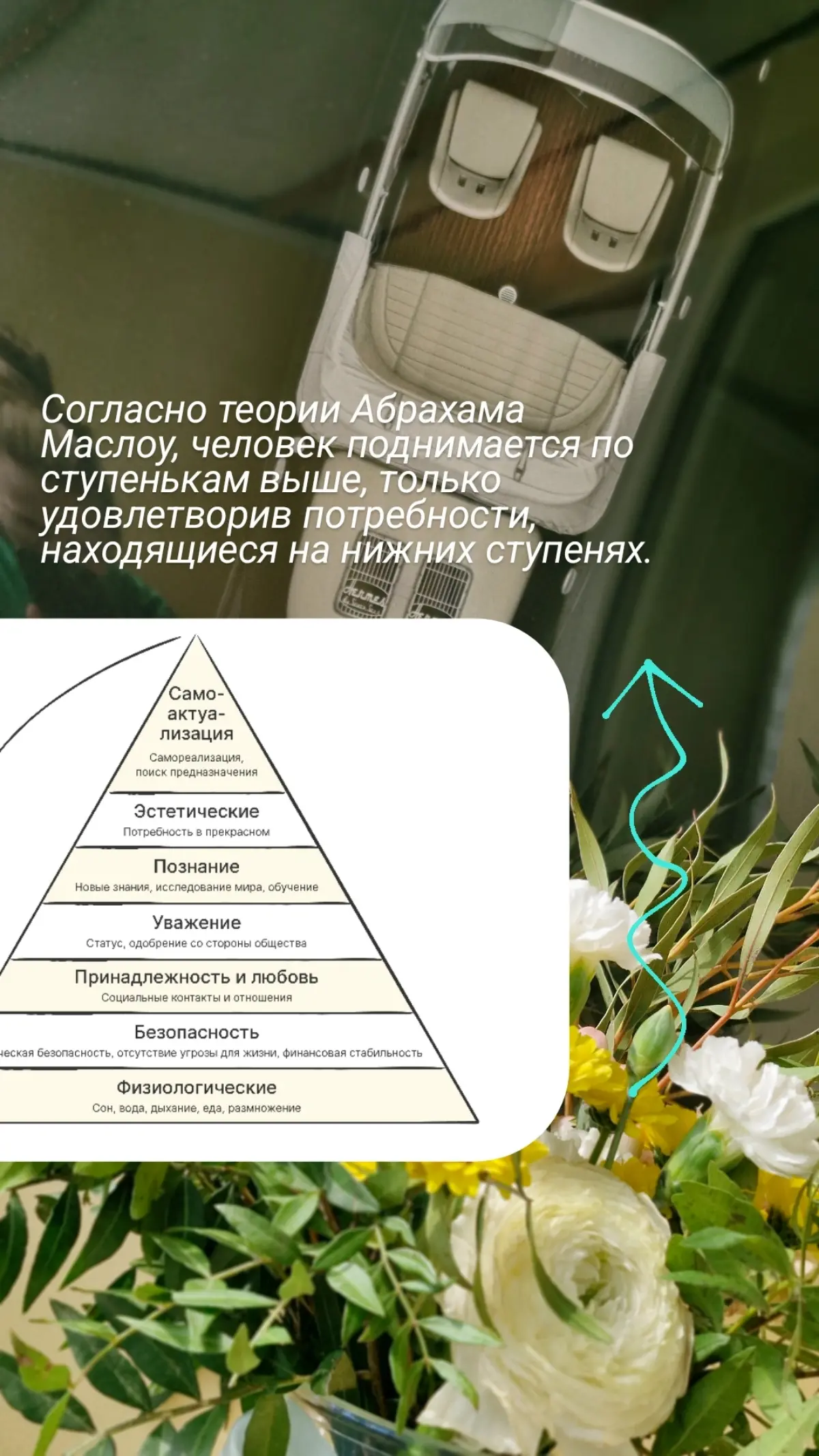 Про потребности 💛
#психология #потребности #маслоу | Сетка — социальная сеть от hh.ru