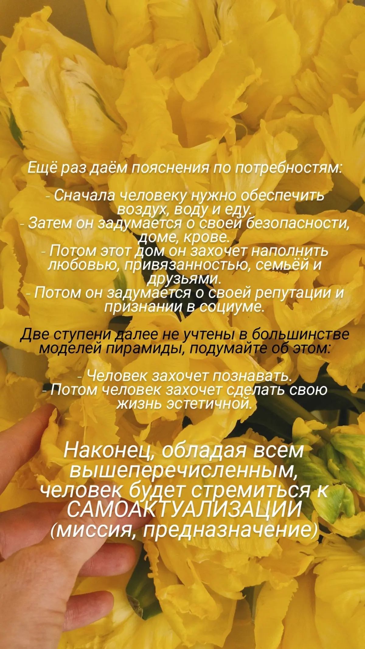 Про потребности 💛
#психология #потребности #маслоу | Сетка — социальная сеть от hh.ru