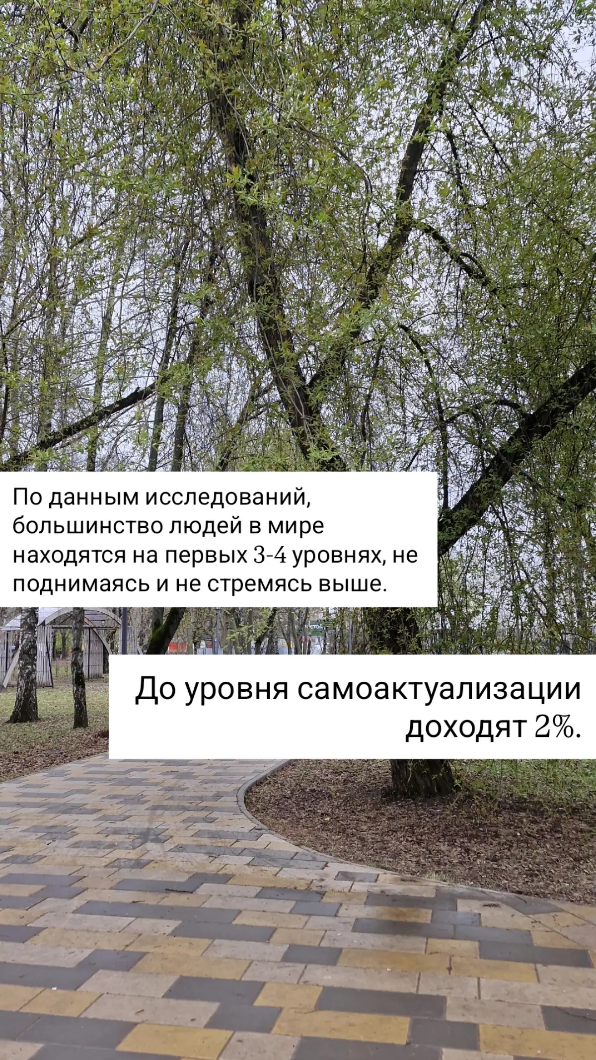 Про потребности 💛
#психология #потребности #маслоу | Сетка — социальная сеть от hh.ru
