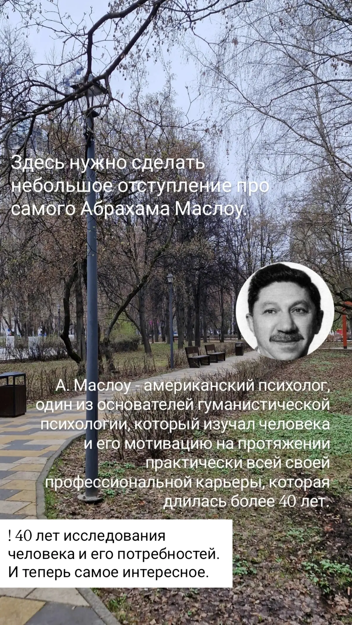 Про потребности 💛
#психология #потребности #маслоу | Сетка — социальная сеть от hh.ru
