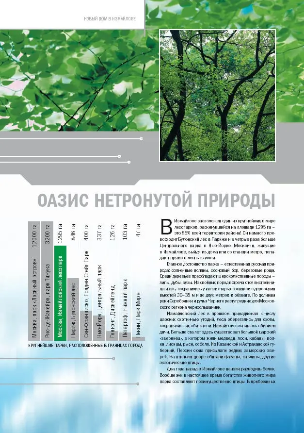 Это уже инфографика? | Сетка — социальная сеть от hh.ru