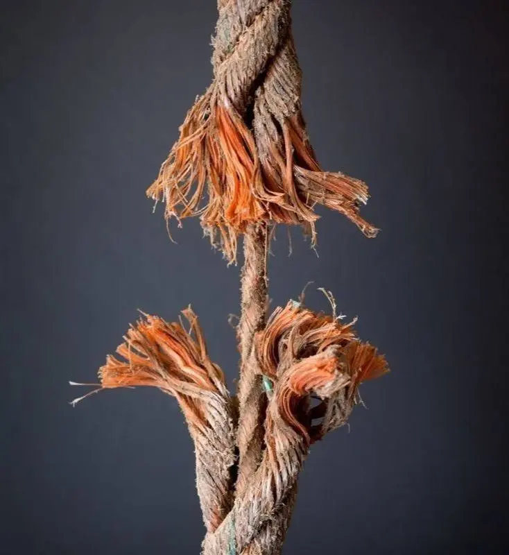 Как понять, что ваш PM выгорел, до того как он уволился 🔥
Коллеги, тема, о которой молчат. Потому что признаться в выгорании — как признаться в слабости.
Но давайте честно. Хорошие PM выгорают редко | Сетка — социальная сеть от hh.ru
