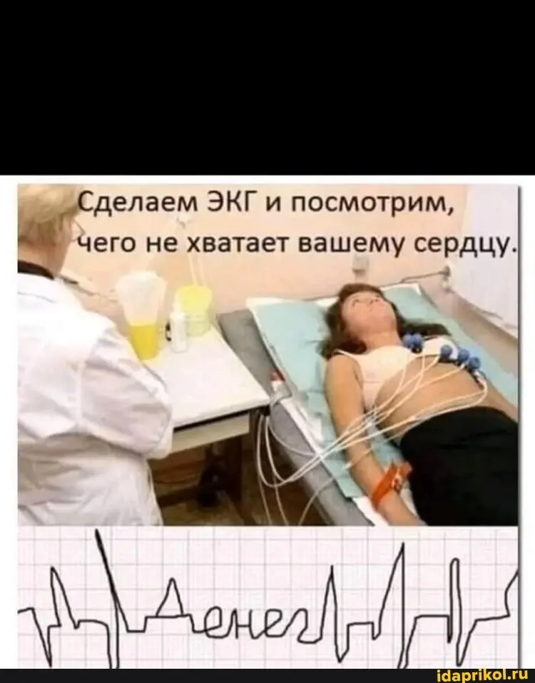 Хомяк сойдёт с колёс! 😜 | Сетка — социальная сеть от hh.ru