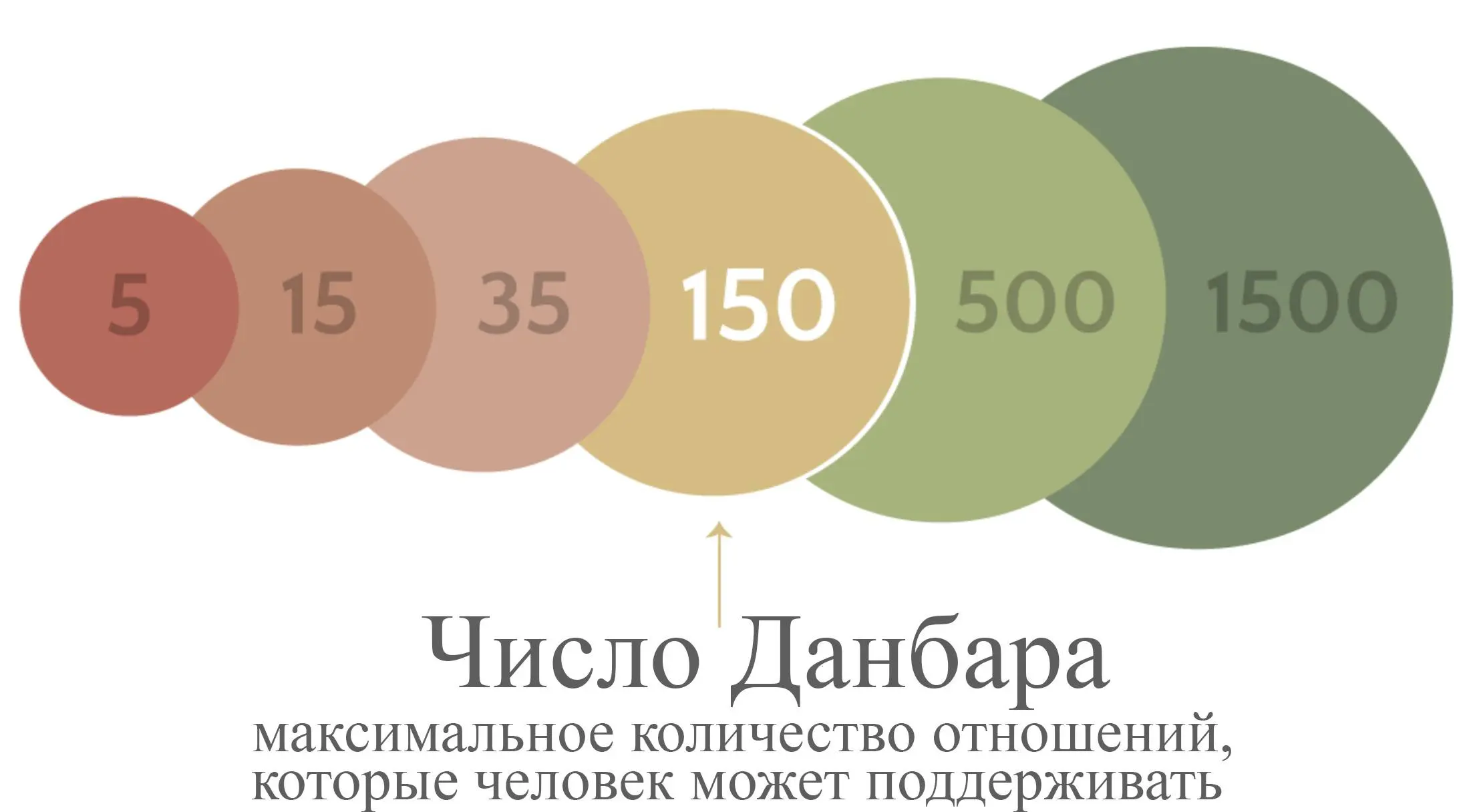 Про числа, друзей и размер неокортекса
Сколько у вас друзей?
Самых близкий, таких, чтобы вот прям вы постоянно общаетесь, знаете все новости, они являются неотъемлемой частью вашей жизни и событий | Сетка — социальная сеть от hh.ru