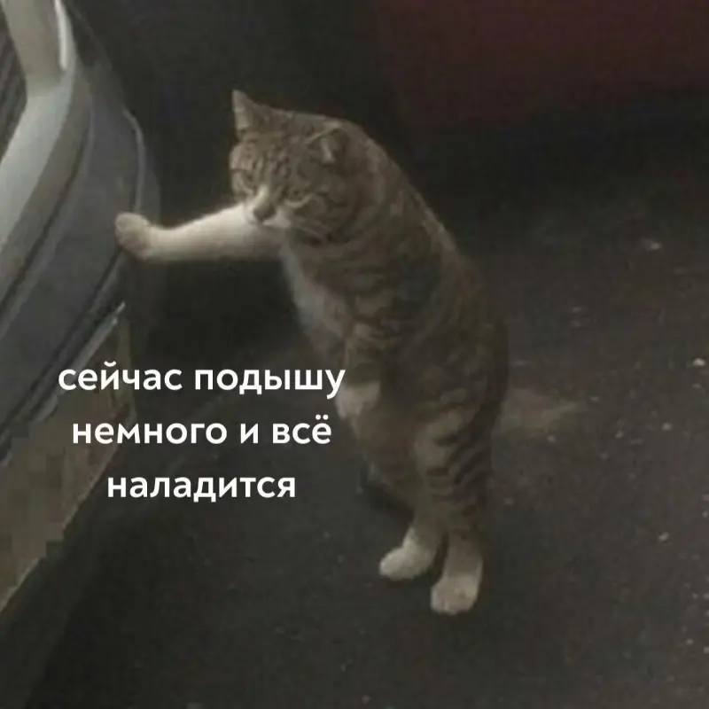Яр Яр | Сетка — социальная сеть от hh.ru