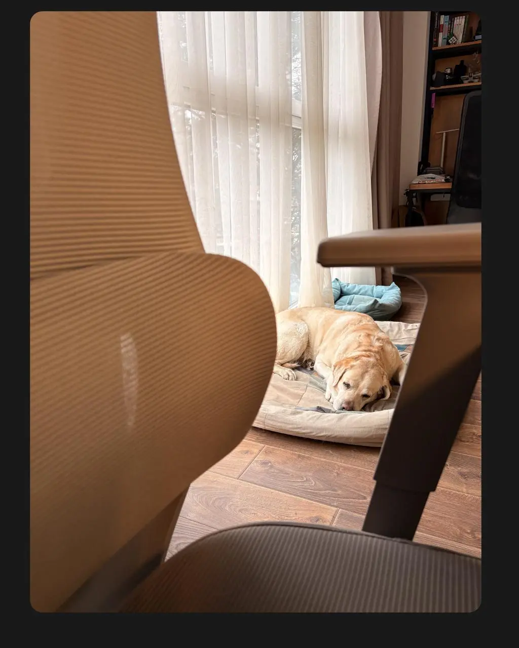 #Рабочаясреда Людмилы Сарычевой
Продолжаю заглядывать в чужие мастерские. Сегодня узнаем, где Люда Сарычева пишет книги, придумывает курсы и стратегии для брендов, которые вы встречаете каждый день | Сетка — социальная сеть от hh.ru