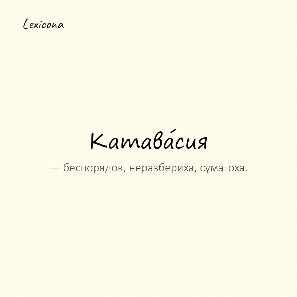 Катава́сия — беспорядок, неразбериха, суматоха.
Пример употребления:
После его прихода началась полная катавасия. | Сетка — социальная сеть от hh.ru