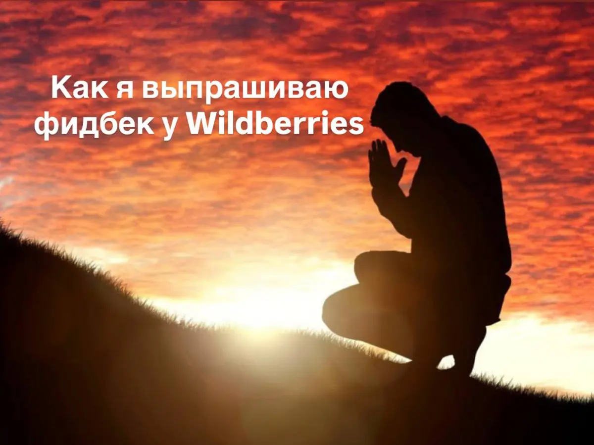 WB, вы как там? в порядке вообще? | Сетка — социальная сеть от hh.ru