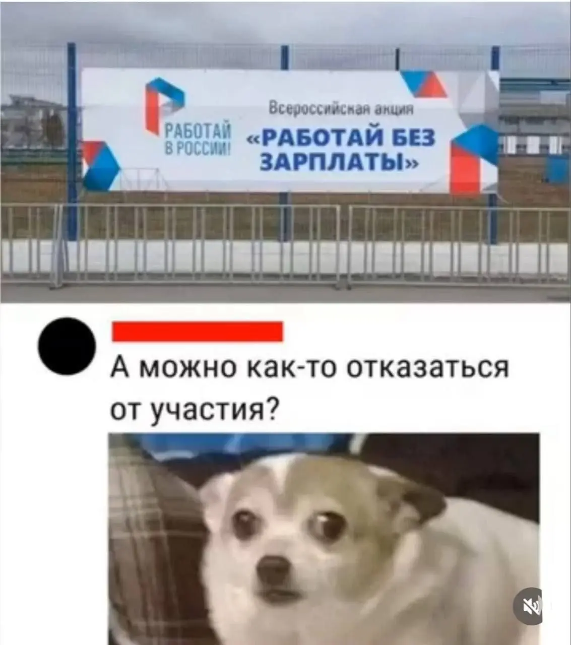 Мы уже на всё согласны. 😵‍💫 | Сетка — социальная сеть от hh.ru