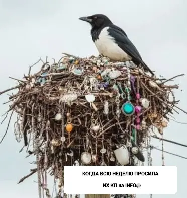 Статистика говорит об обратном ☕😎 | Сетка — социальная сеть от hh.ru