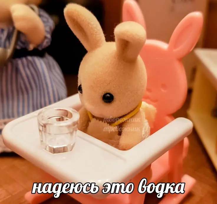 Хорошим организатором может быть только тревожник🧰 | Сетка — социальная сеть от hh.ru