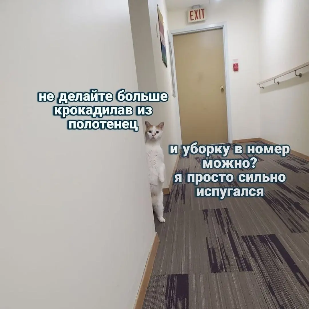 Встреча с клиентским сервисом 😂
От любимого клиента Елены ❤️
#Юмор@poldner #Коты@poldner | Сетка — социальная сеть от hh.ru