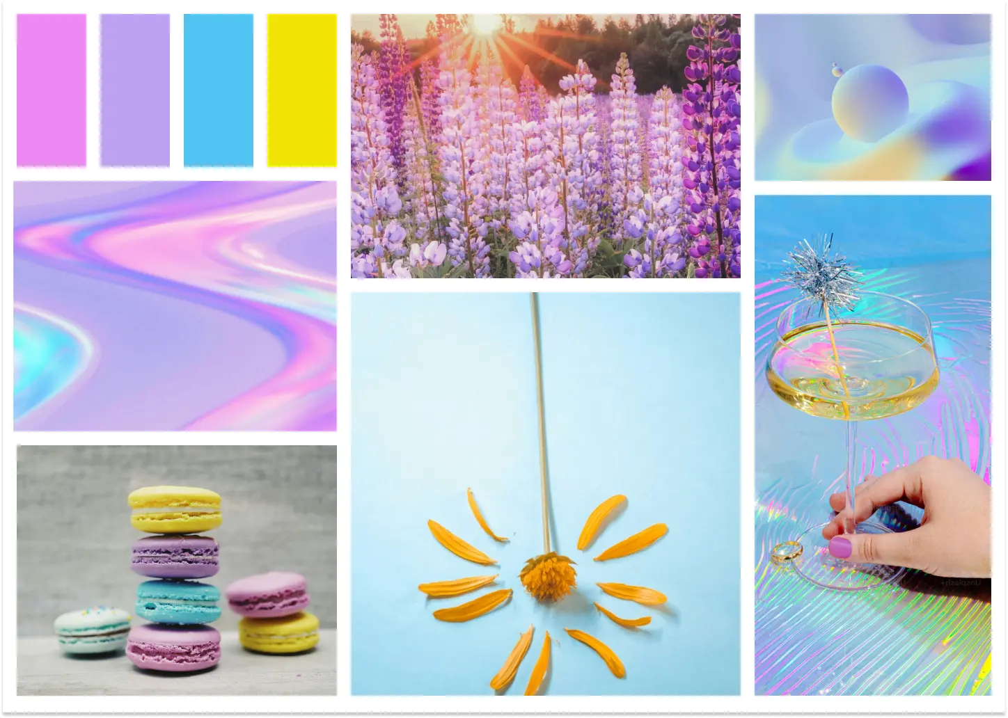 Network member avatar