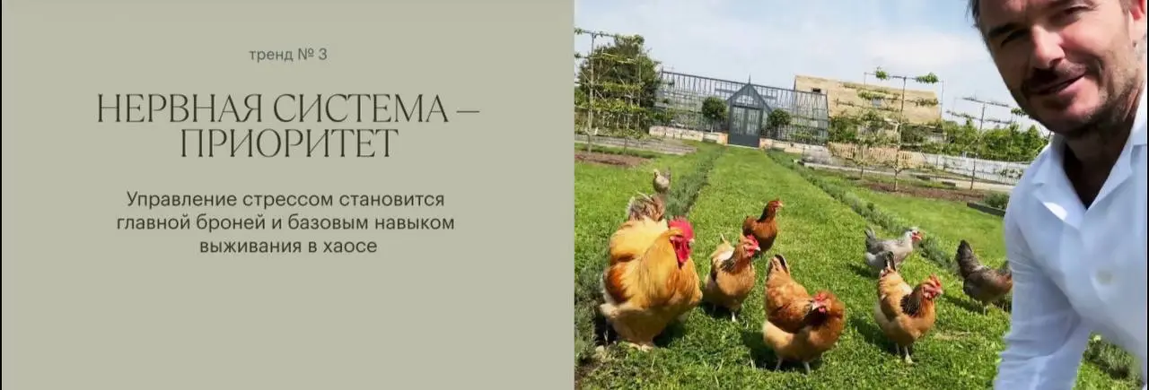 Про первый питчинг
Как некоторые из вас могли заметить, я ничего не написала про свой первый инвест-питчинг.
Потому что мы не прошли отбор. Грустно ли мне – да. Расстроилась ли я – безусловно | Сетка — социальная сеть от hh.ru