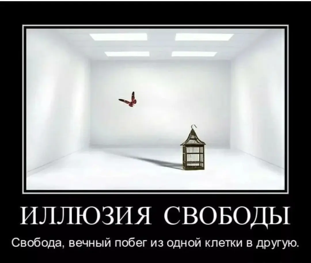 👏ДЕНЬ 2
ИЛЛЮЗИЯ СВОБОДЫ | Сетка — социальная сеть от hh.ru