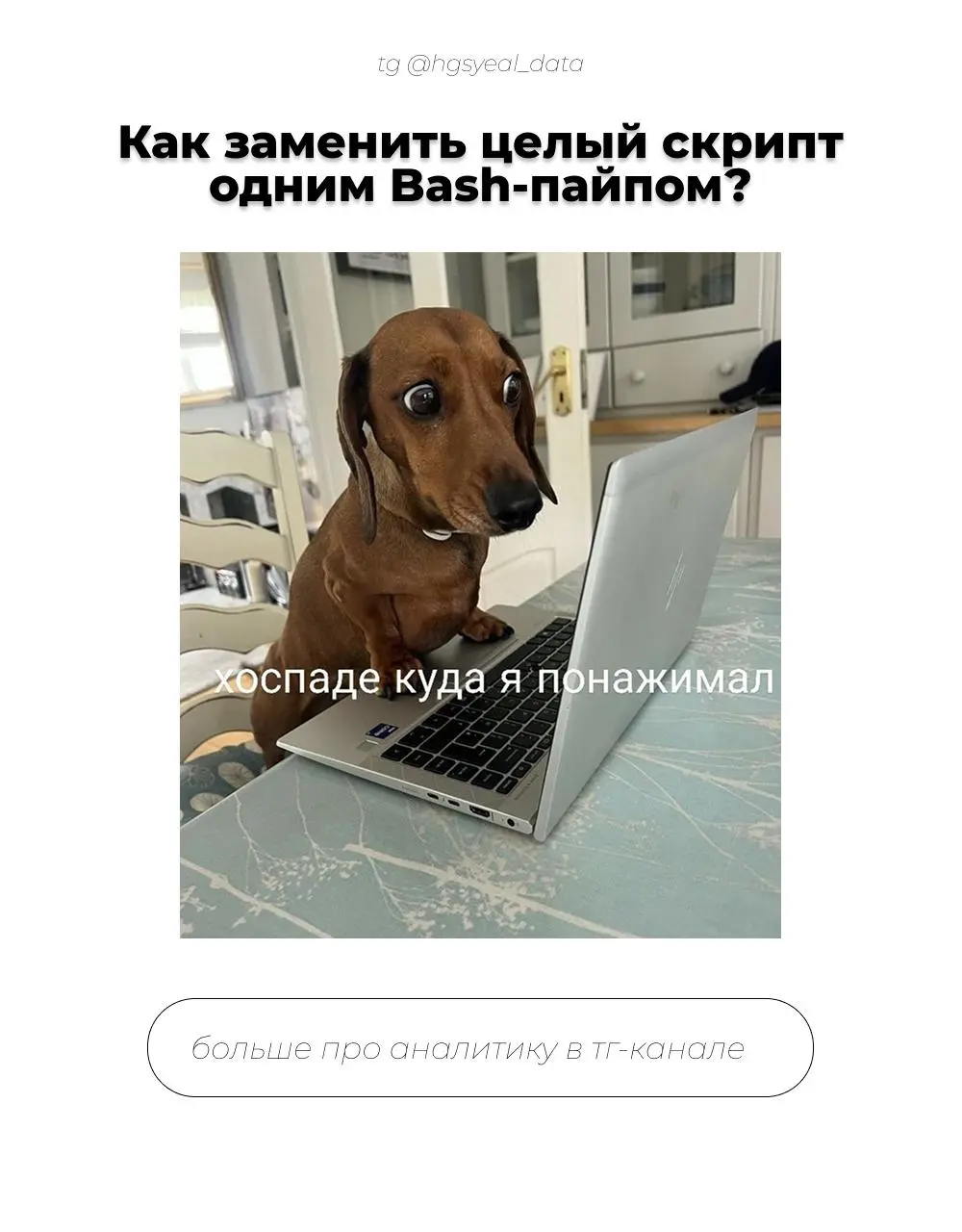 😳 Главная фишка Bash — это пайпы (pipes). Это когда вы соединяете несколько простых инструментов в одну мощную цепочку
Кто-то спросит: «Зачем мне этот bash, если я могу написать df.groupby() | Сетка — социальная сеть от hh.ru