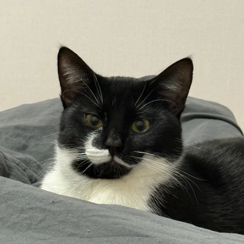 Анна Емец | Сетка — социальная сеть от hh.ru