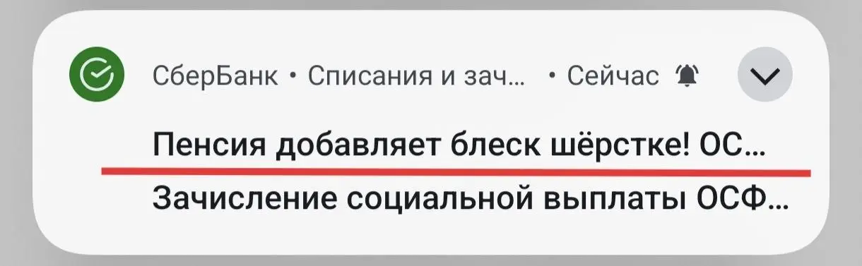 Ну что за милаш - этот сберовский Кот 😻
Еще бы сумма так умиляла🙈😂 | Сетка — социальная сеть от hh.ru