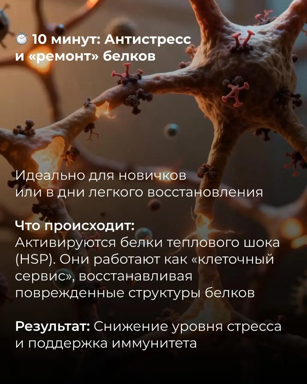 Вы правильно используете сауну?
Если вы просто сидите там до победного, вы упускаете половину преимуществ
Биохакинг учит нас точности:
— Хотите детокс и здоровые сосуды? Нужно одно время
— Цель — клет... | Сетка — социальная сеть от hh.ru