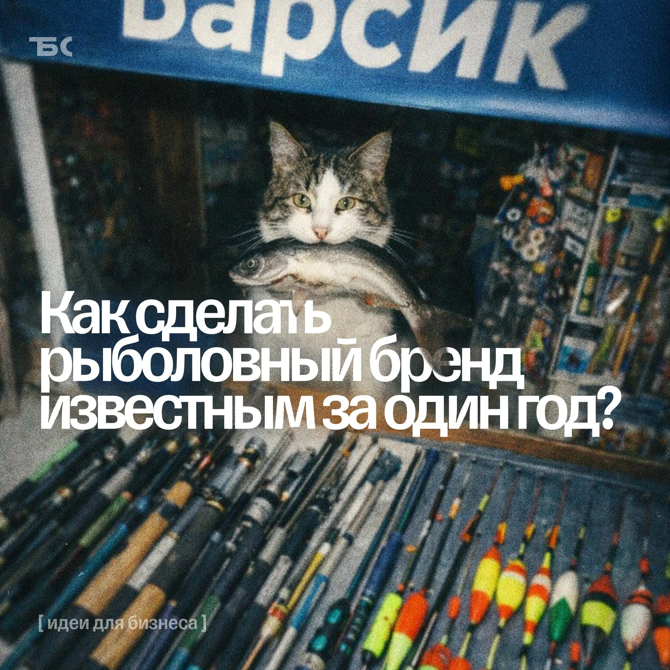5 шагов, которые помогли нам сделать рыболовный бренд известным за один год
Меня зовут Александр Иванчин, я сооснователь бренда KIMOTO @kimotofish и рыболовных магазинов на маркетплейсах | Сетка — социальная сеть от hh.ru