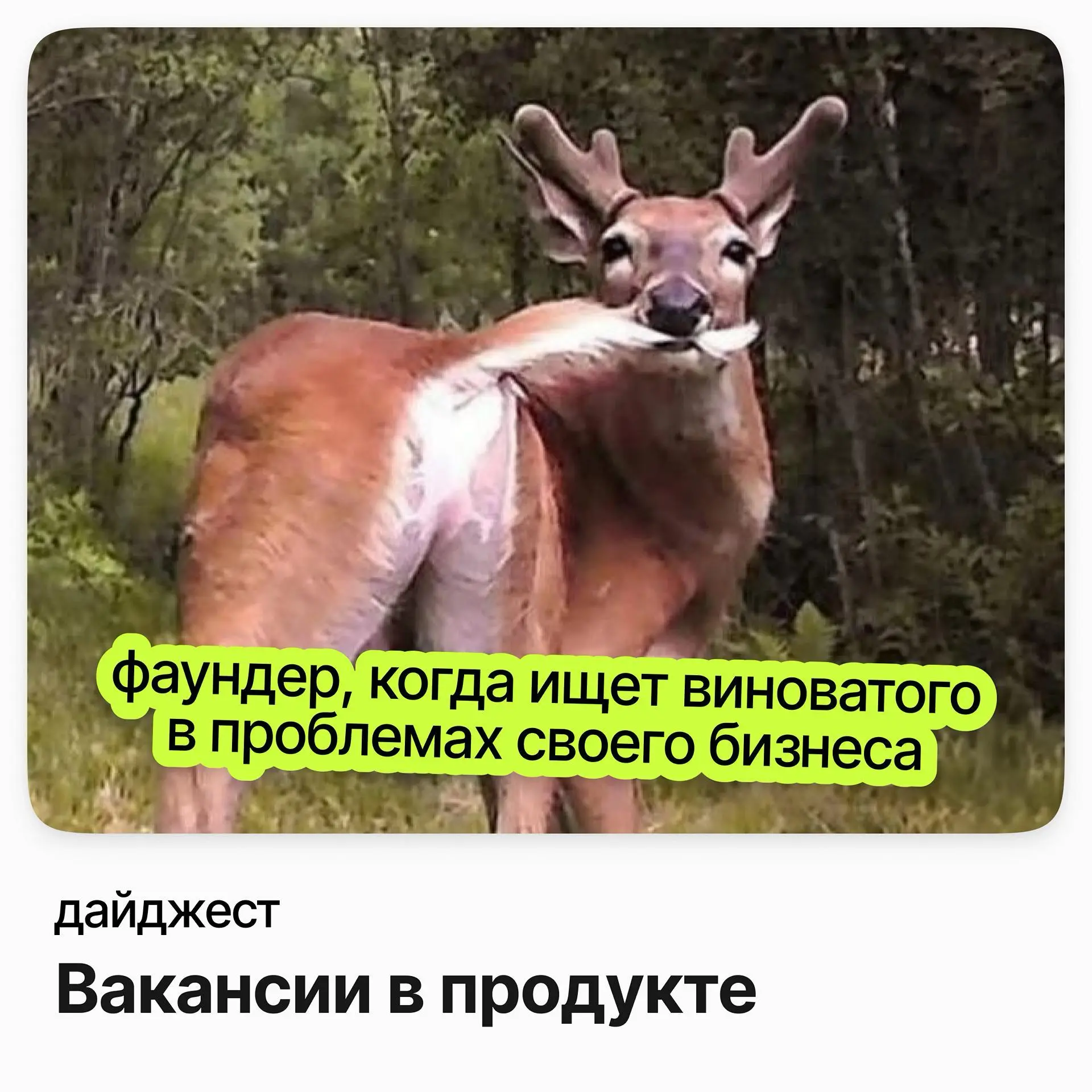 Вакансии в продукте | Сетка — социальная сеть от hh.ru