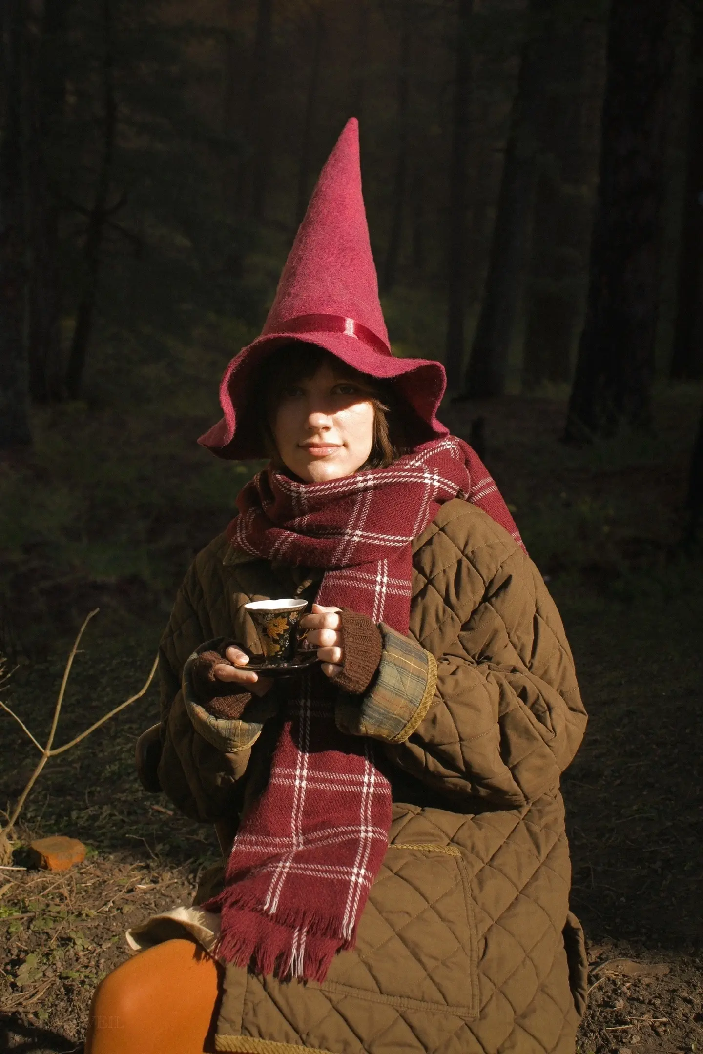 Network member avatar